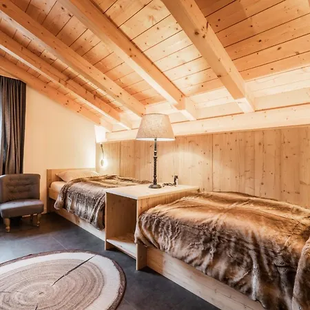 Family Chalet Karwendel * 斯卡尔尼茨