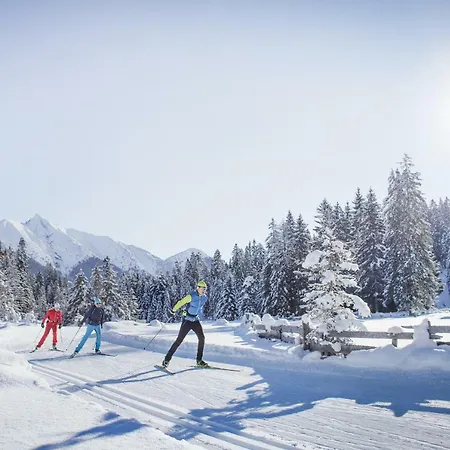 Family Chalet Karwendel 度假居 *